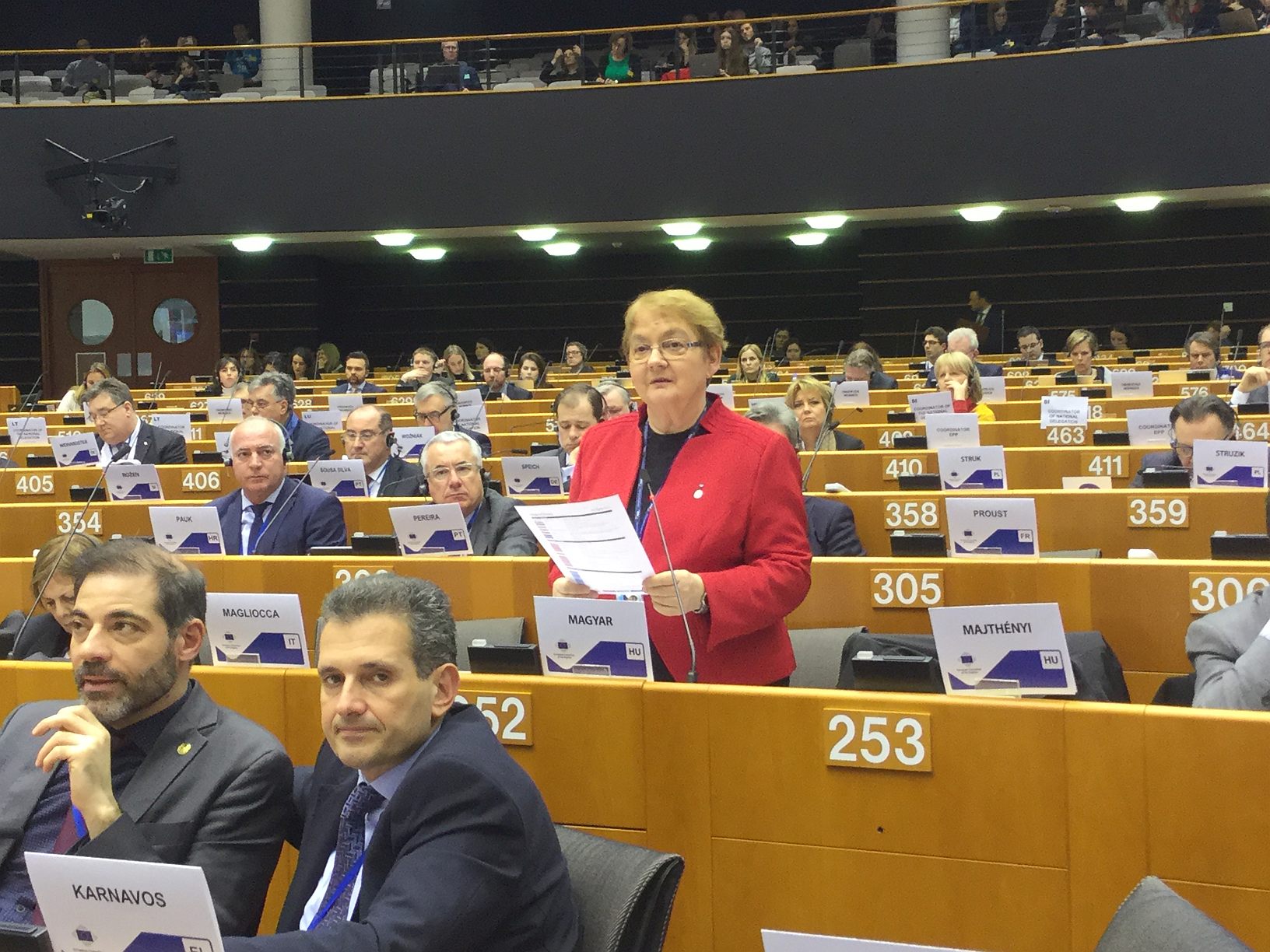 Erősödő regionális érdekérvényesítés Brüsszelben  - Magyar Annát alelnökké választották